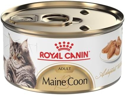 Royal Canin Feline Breed Nutrition Maine Coon Adult Thin Slices in Gravy Cat Foo