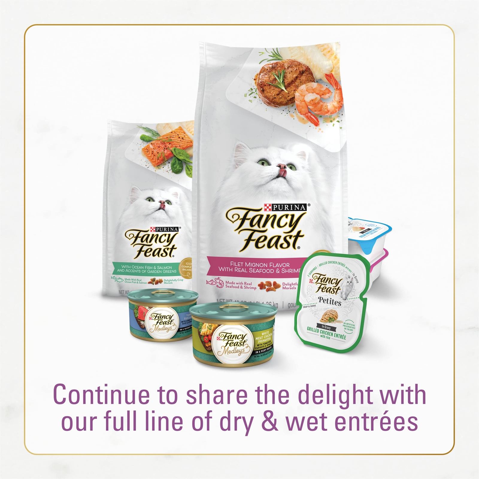 Purina Fancy Feast Adult Dry Cat Food Dry Food Chicken & Turkey