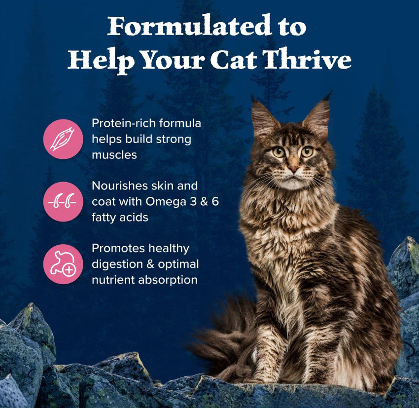 Blue Buffalo Wilderness Salmon Recipe Grain-Free Dry Cat Food, 11-lb bag