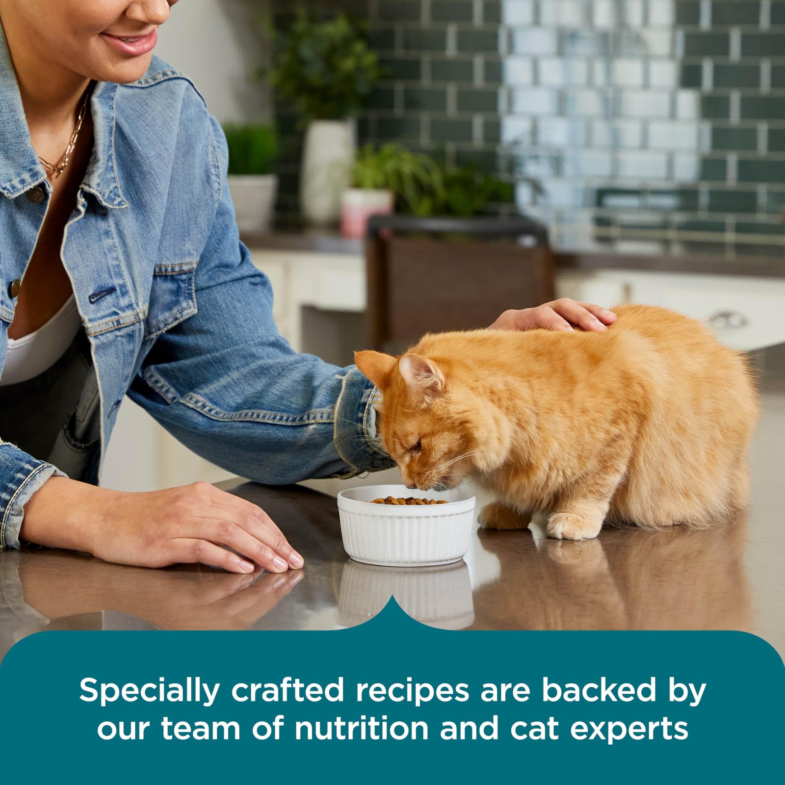 Nutrish Real Salmon Brown Rice Recipe Dry Cat Food, 14 lb. Bag, Packaging May