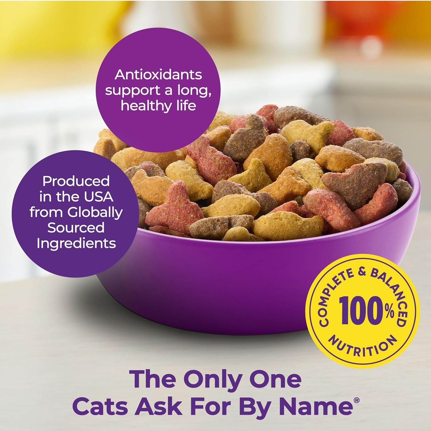 Choice Dry Cat Food, 6.3 lb Bag – Nourishment for All Breeds