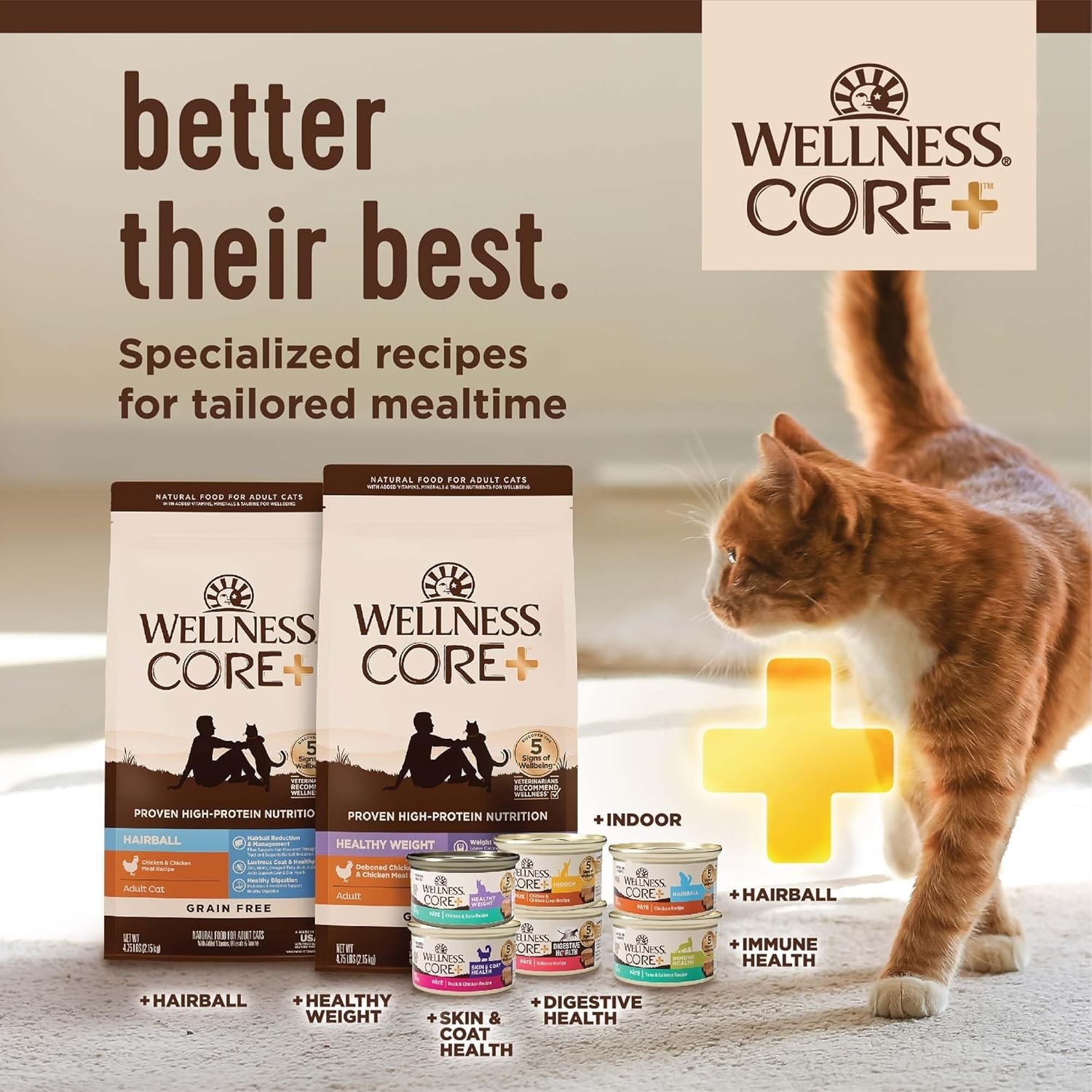 Wellness CORE Grain Free Indoor Cat Food Turkey Chicken Formula, 11 lb Bag