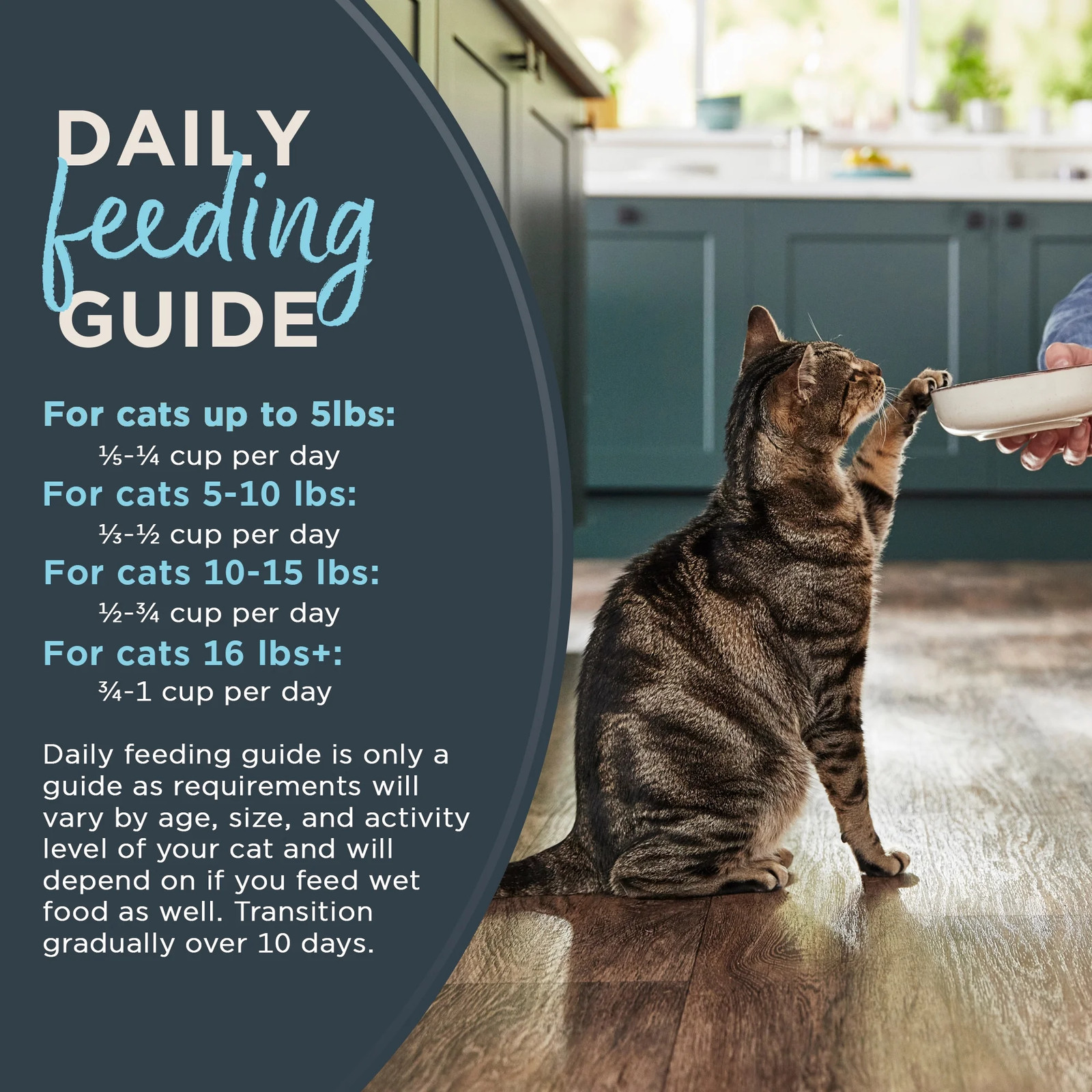 Natural Dry Cat Food, Complete & Balanced Grain Free, Whitefish
