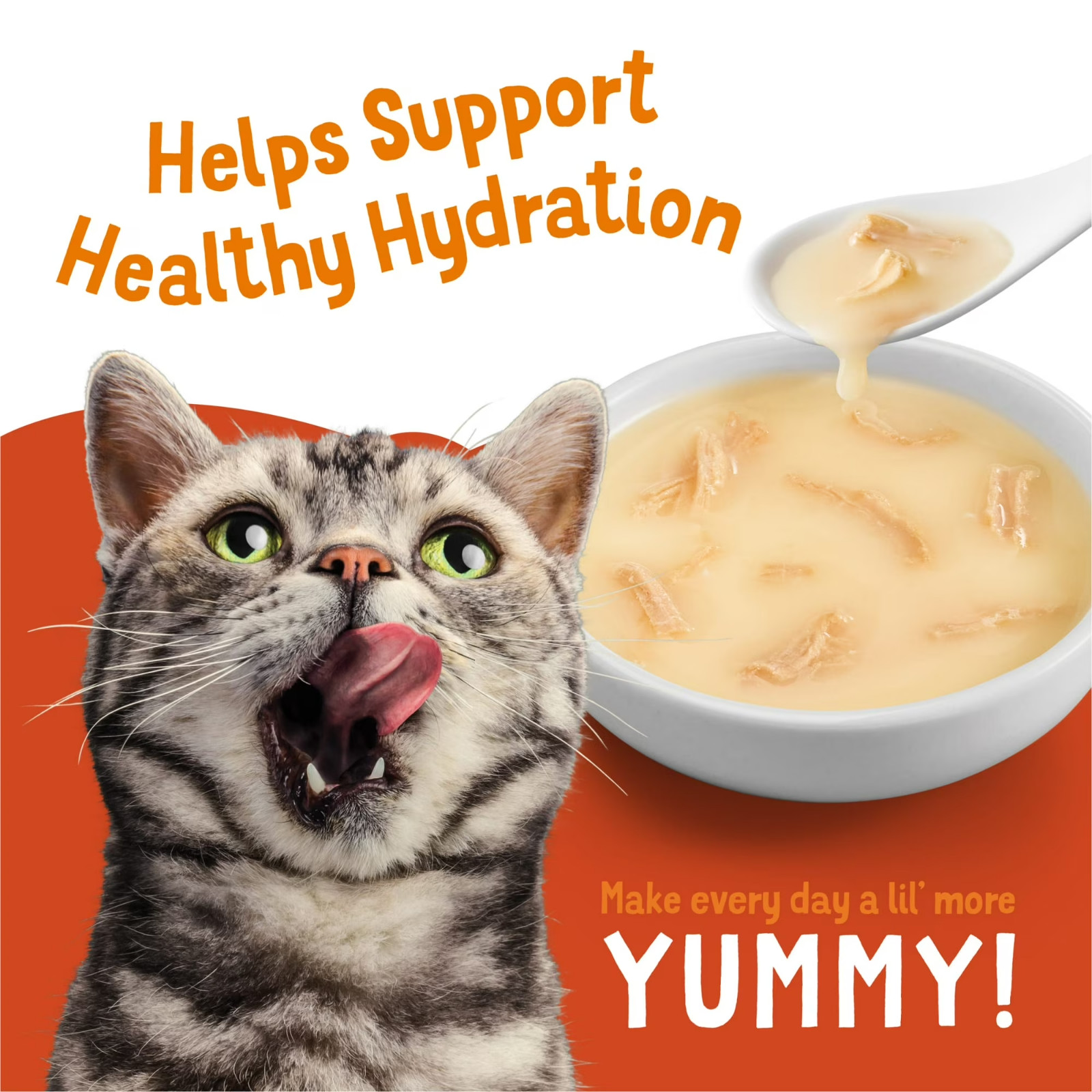 2 pack Purina Friskies Lil’ Soups Salmon and Tuna for Cats Variety Pack, 1.2 oz
