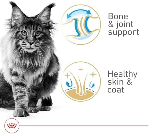 Royal Canin Feline Breed Nutrition Maine Coon Adult Thin Slices in Gravy Cat Foo