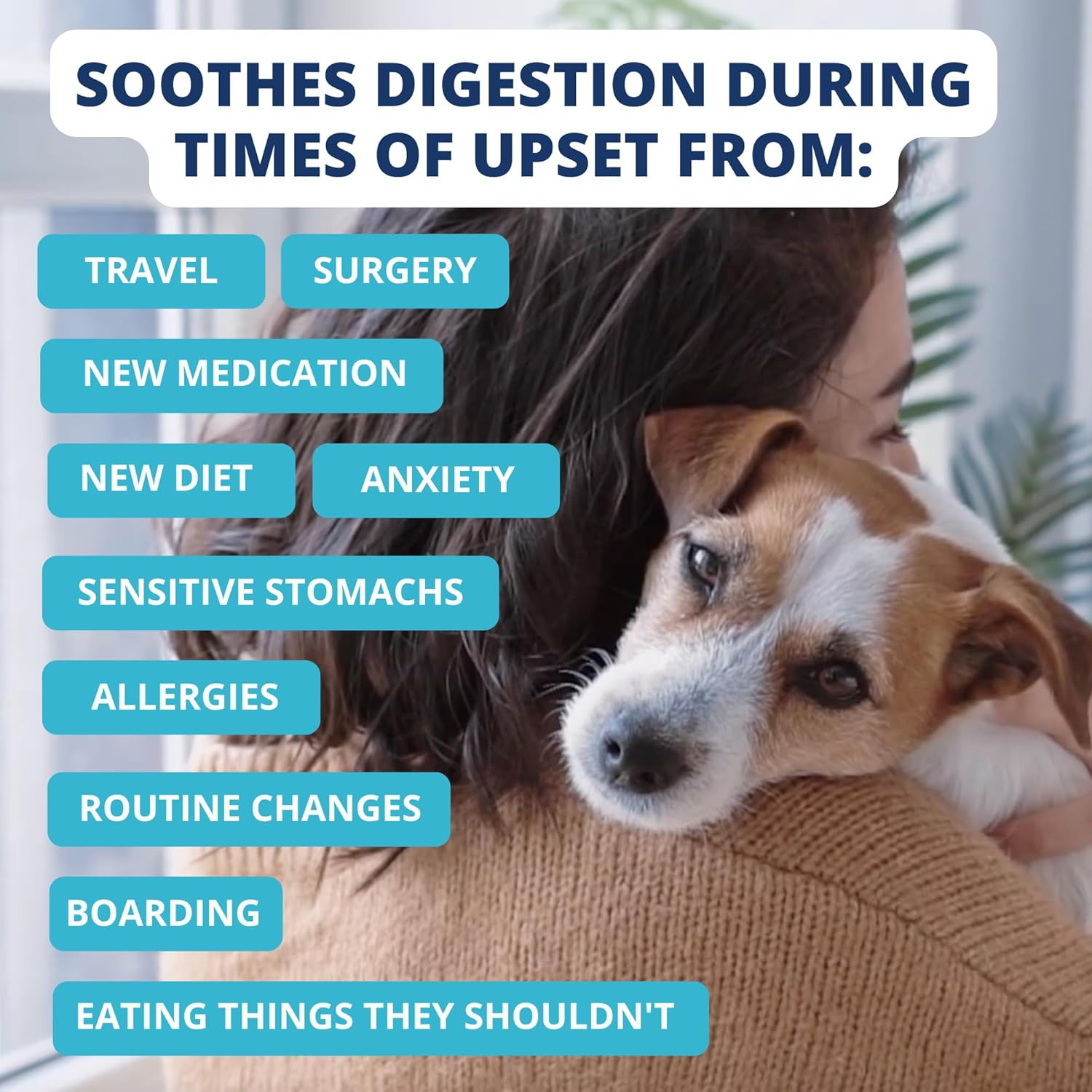 Bland Diet for Dogs | Easy to Digest for Sick Dogs | Always Be Ready | Contains