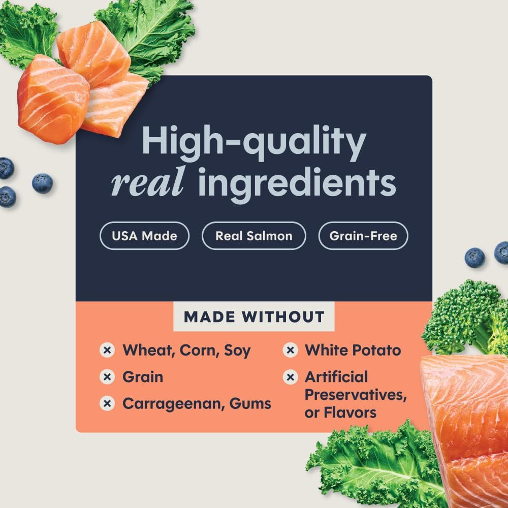Instinct Original Grain Free Real Salmon Recipe Natural Wet Canned Cat Food by N