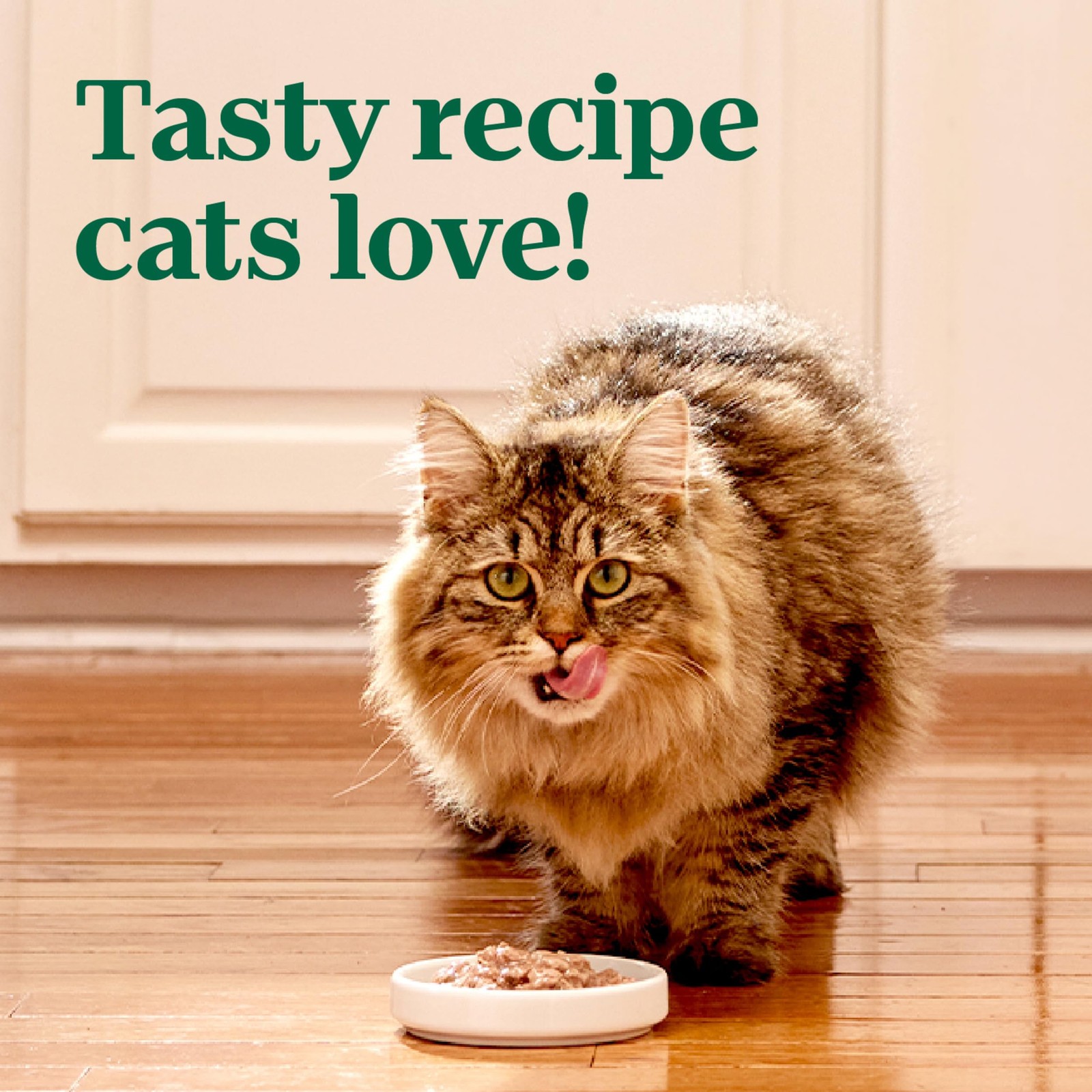 Nutro Perfect Portions Wet Cat Food Cuts in Gravy Tuna Recipe, 2.64 oz Twin-…