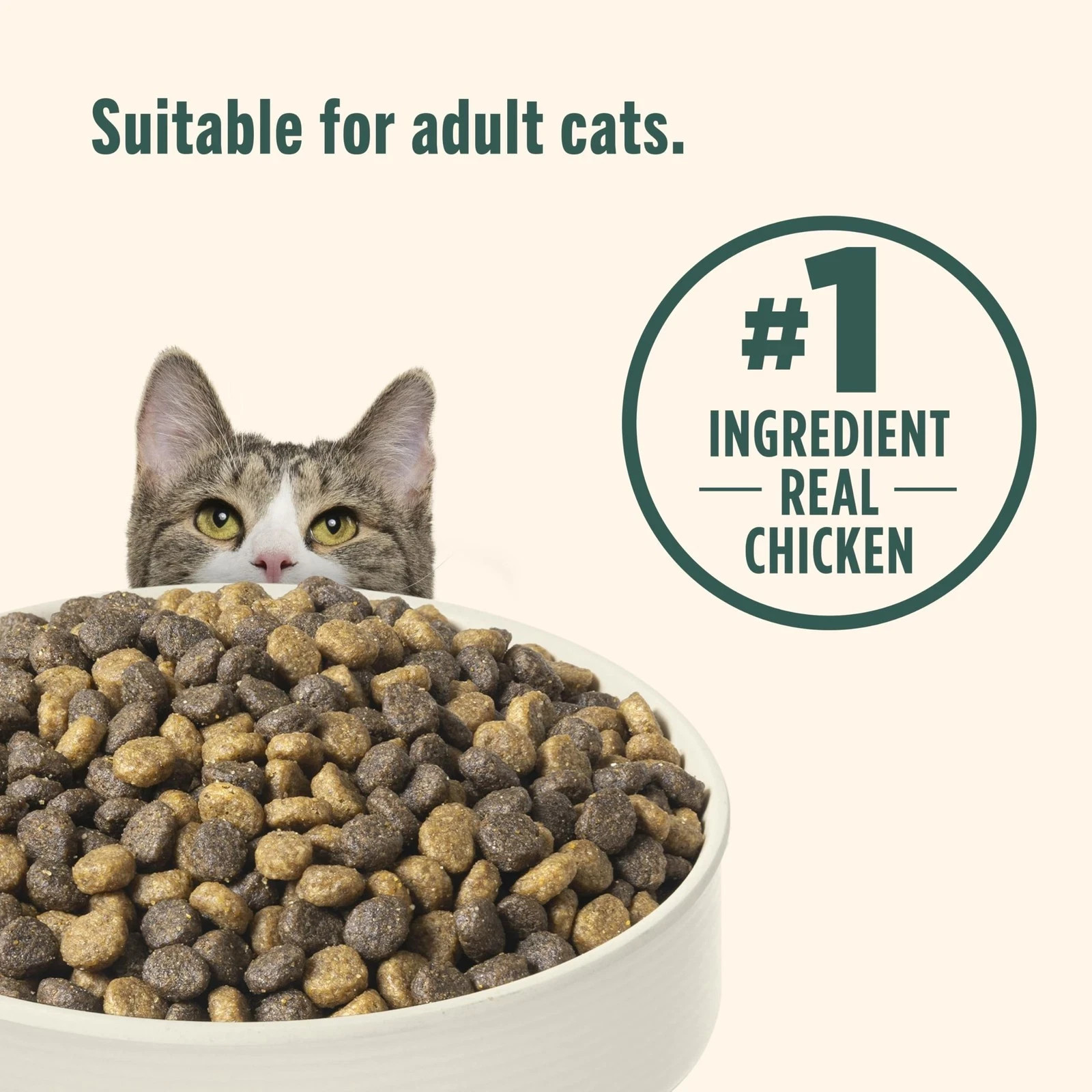 Nutrish Indoor Complete Chicken, Lentils & Salmon Recipe Dry Cat Food 14 lb -NEW