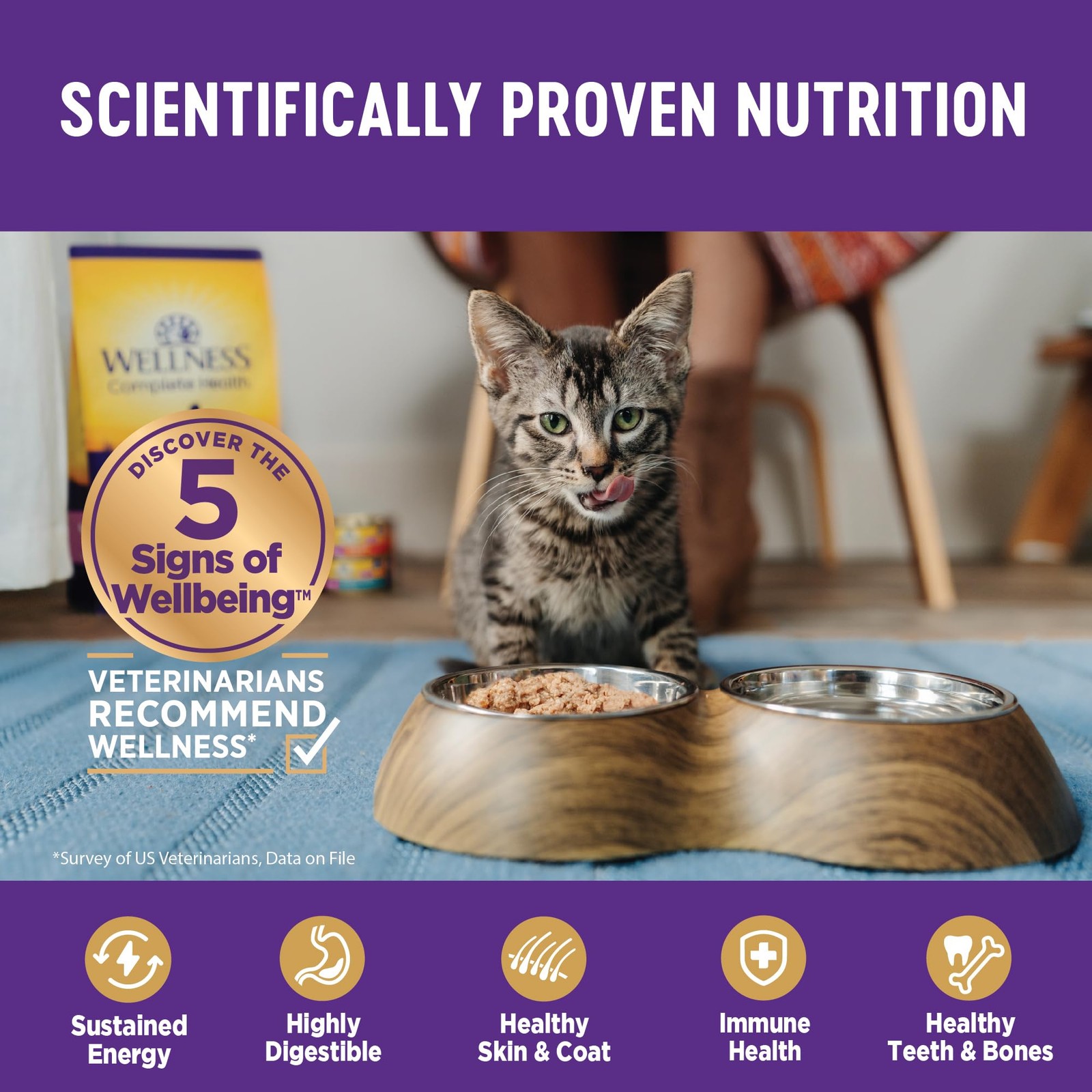 Target 24 Pack 5.53 Ounce Sliced Salmon Grain Free Wet Cat Food Canned Entree