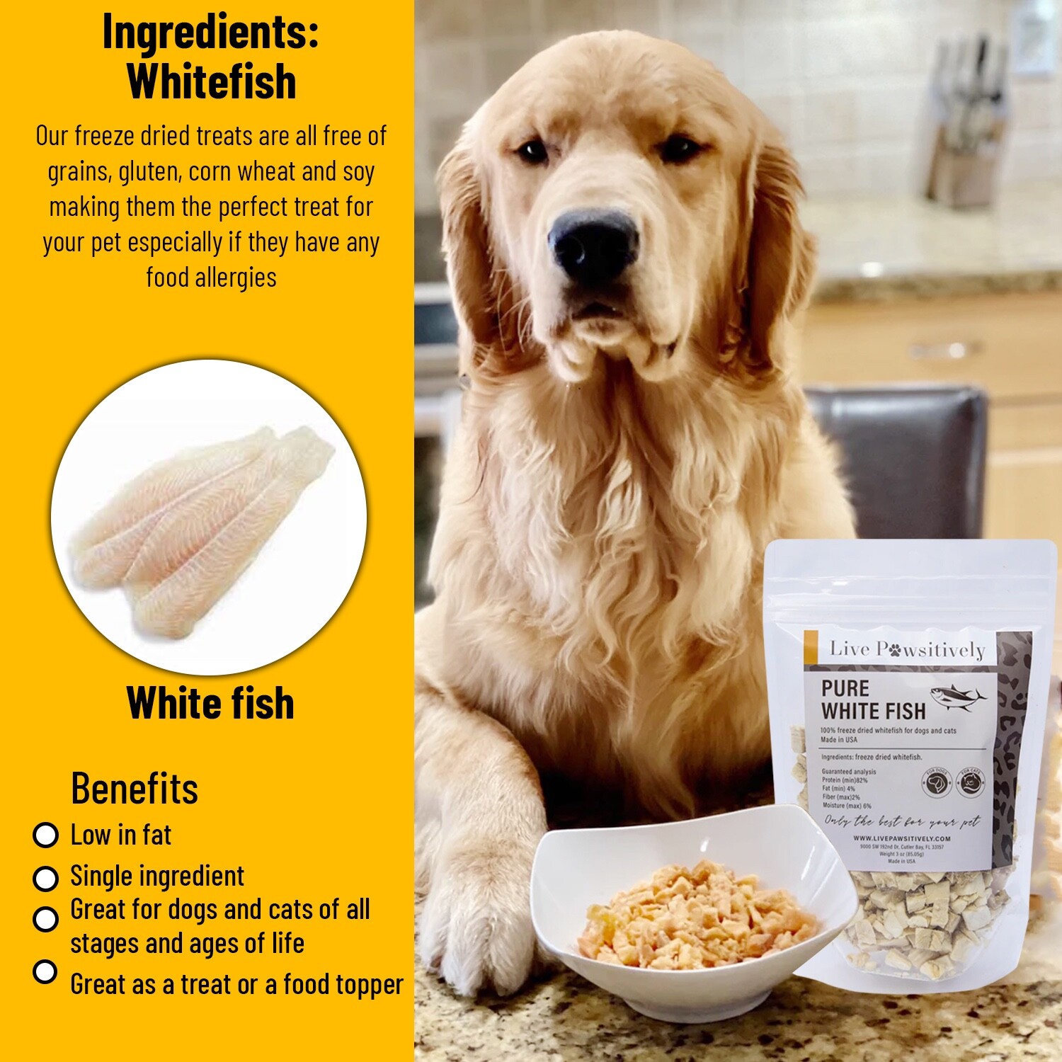 Freeze Dried White Fish Single Ingredient dog/cat treat 3oz, Live Pawsitively