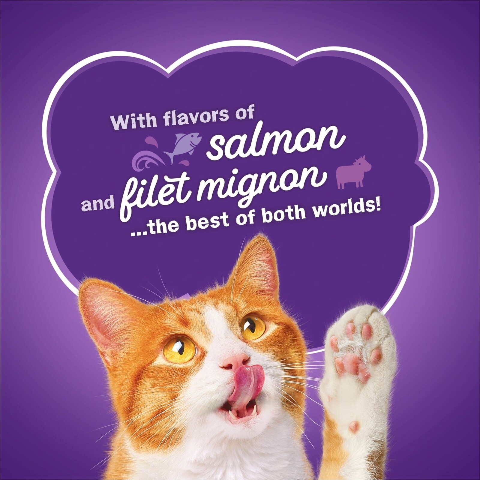 Dry Cat Food for Adult Cats Kittens Chicken Whitefish Salmon Protein 22 Lb. Bag