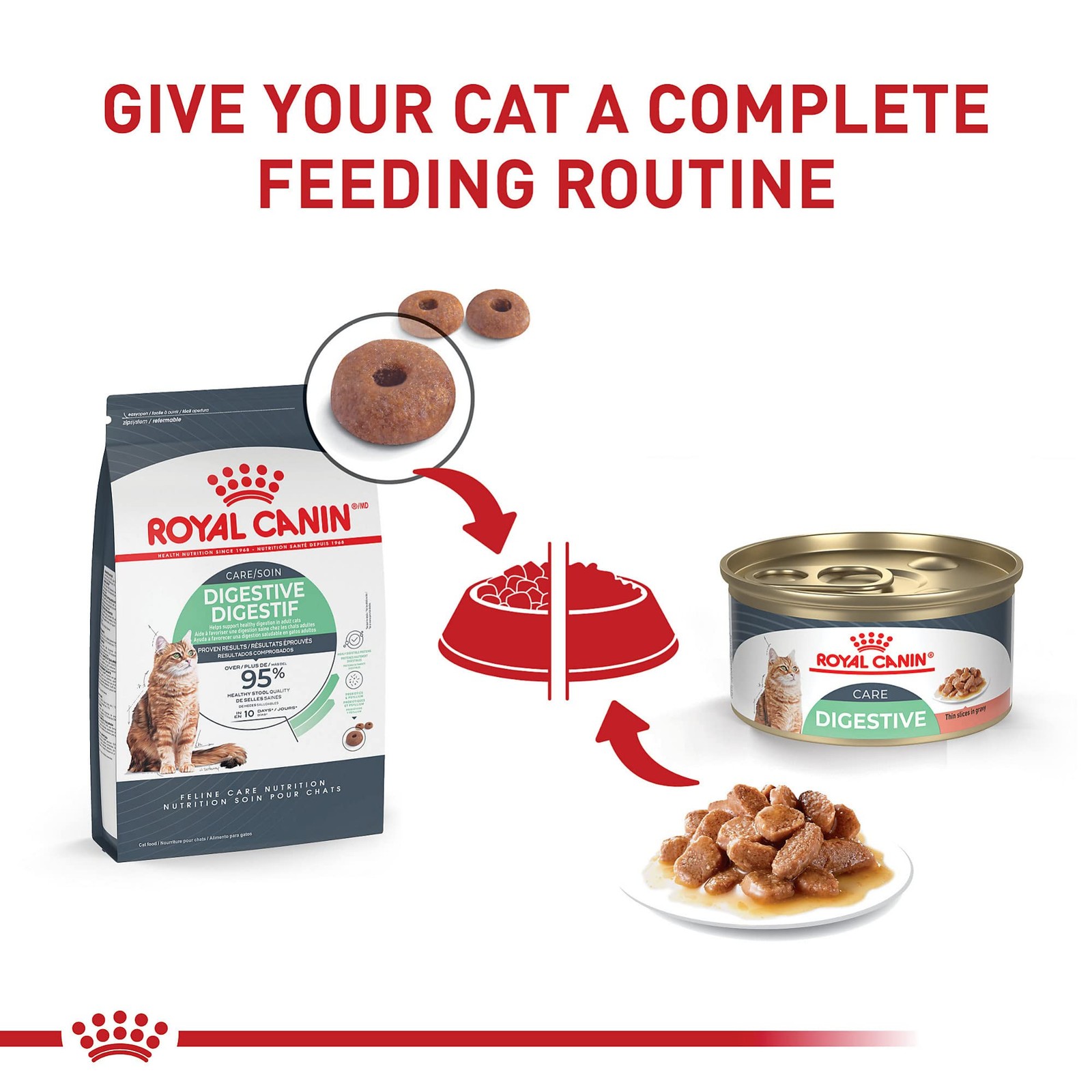 Royal Canin Feline Care Nutrition Digestive Adult 6 Ounce (Pack of 1)