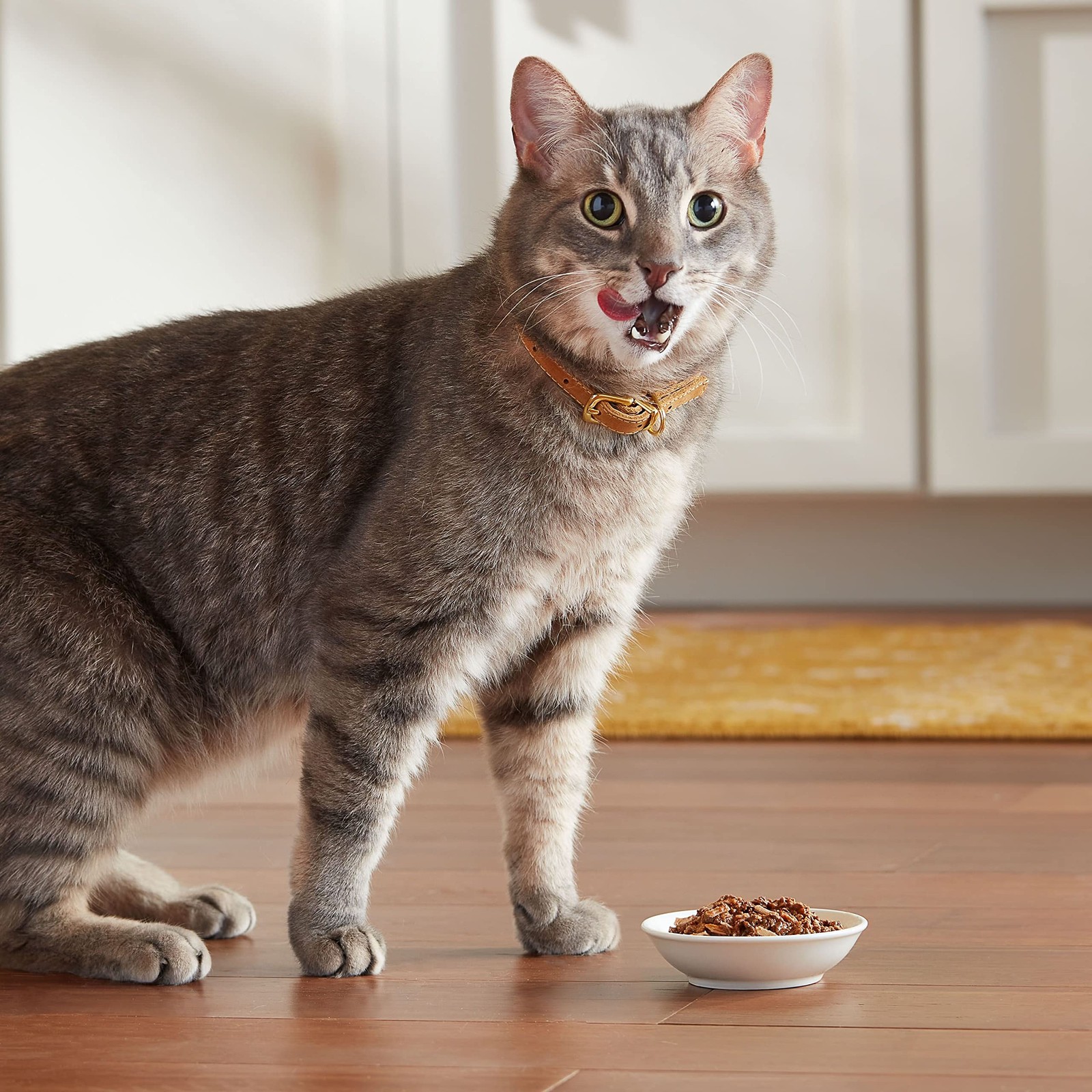 Meow Mix Tenders in Sauce Wet Cat Food 12 Cups 2.75 Ounce Tuna Shrimp Combo