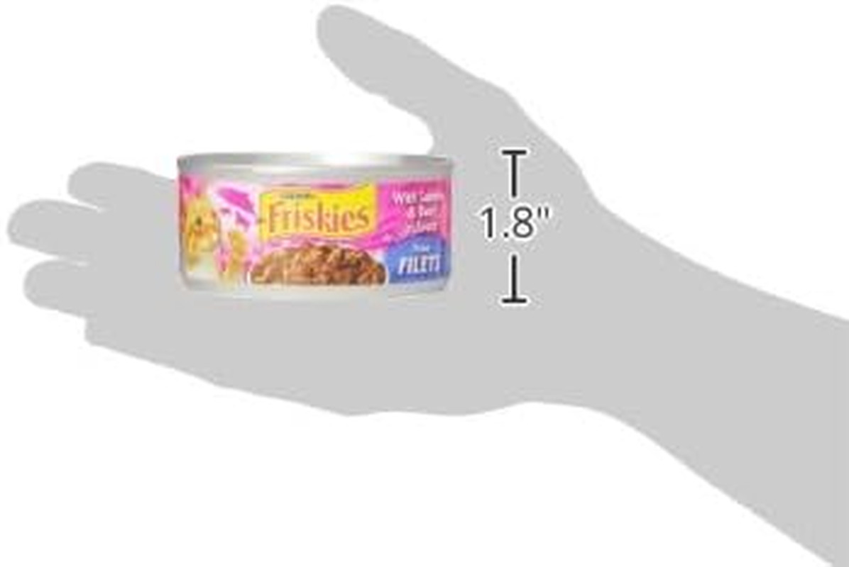 Purina Prime Filets with Salmon and Beef in Sauce High Protein Wet Cat Food – (