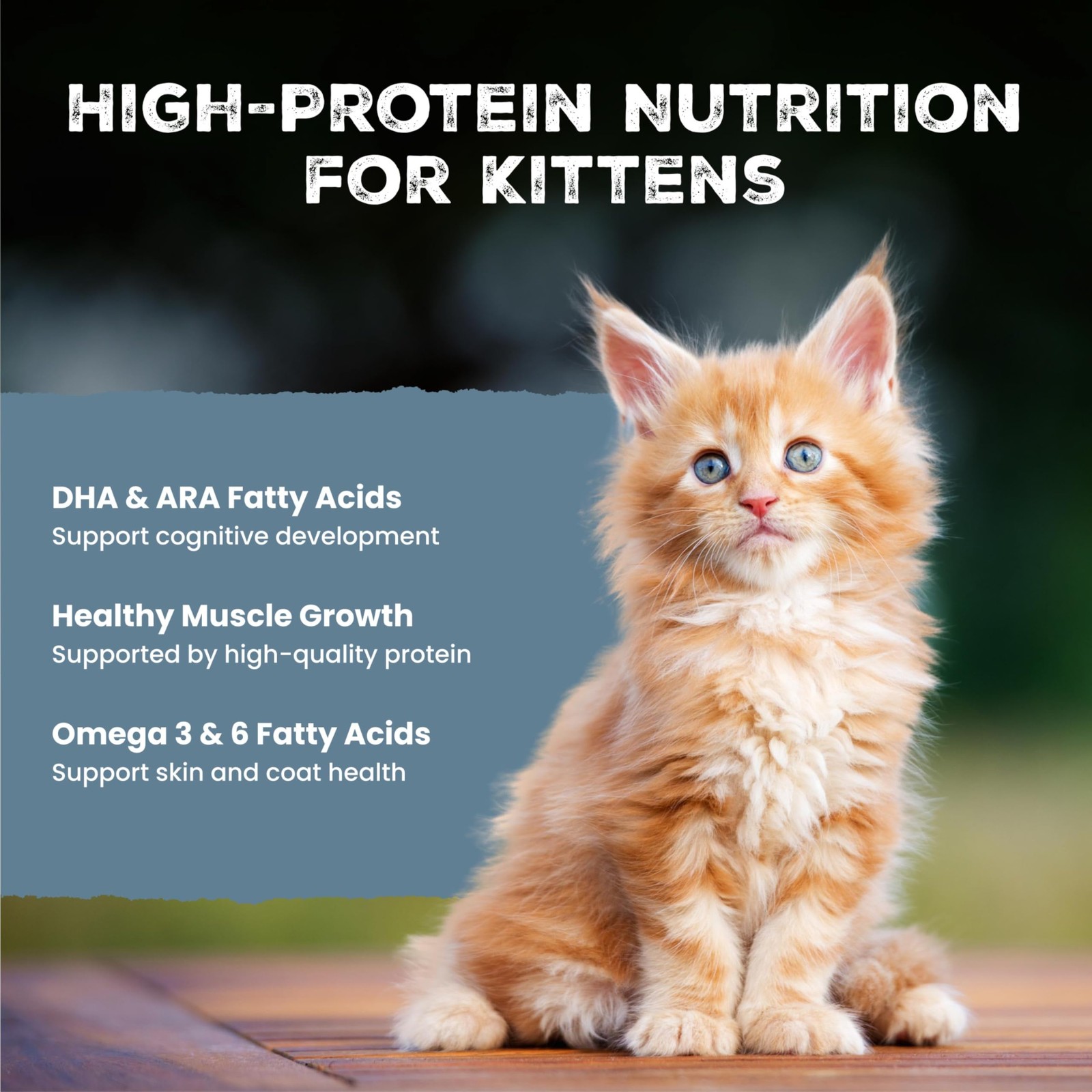 Blue Buffalo Wilderness Kitten Grain-Free 3 Ounce (Pack of 6), variety