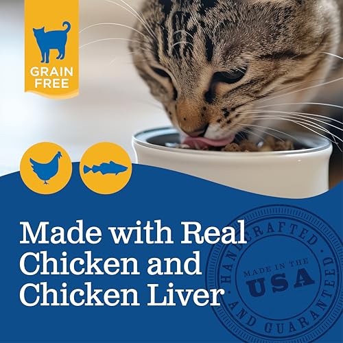 Blackwood Canned Cat Food [Grain Free Wet Cat Food for All Breeds and Life 12-Ct
