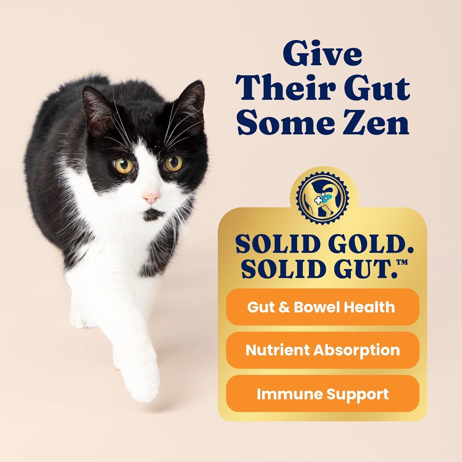 Gluten Free Salmon Cat Food 12LB Dry Kibble for Indoor Cats with Probiotics