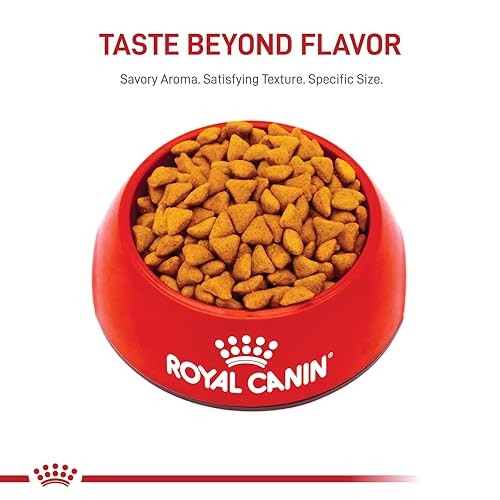 Royal Canin Feline Health Nutrition Indoor Adult 7 Pound (Pack of 1), natural