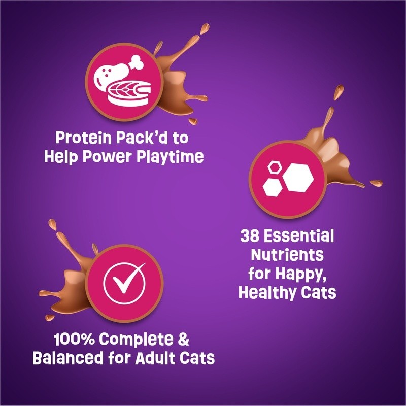 Purina Dry Cat Food Kibble Chicken Salmon Gravy Nutrition All Life Stages 22lb