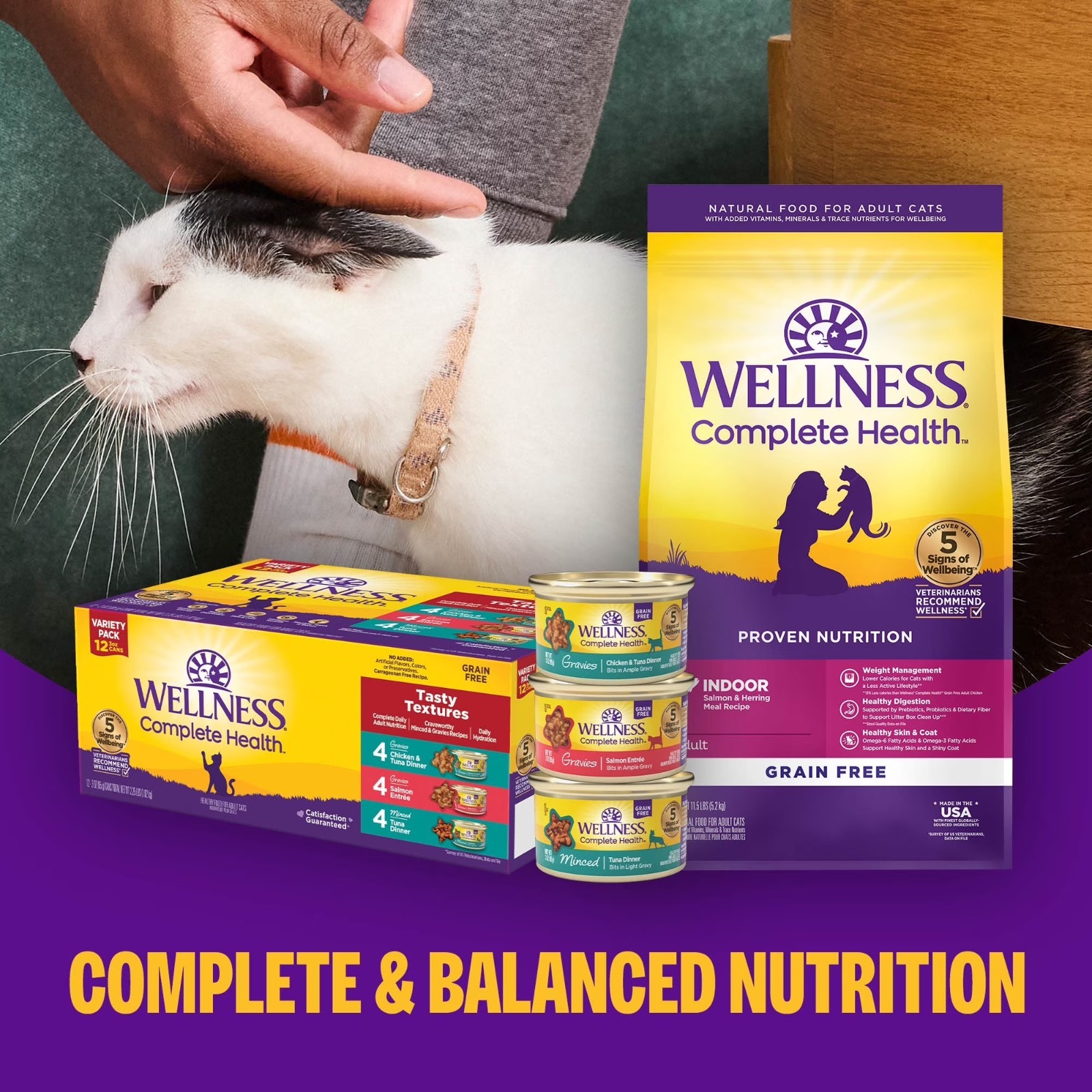 Wellness Complete Health Pate Kitten Wet Cat Food, Natural, Protein-Rich,24 Pack