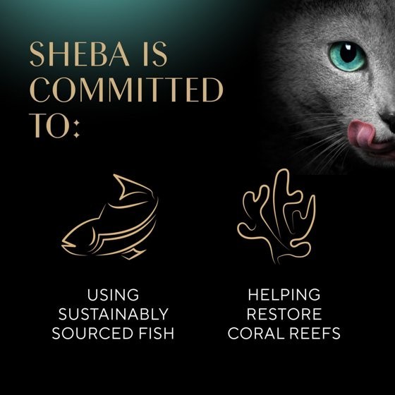 Sheba Perfect Portions Variety Pack Cuts In Gravy Cat Food, 2.6 Oz 24 Twin-Pack
