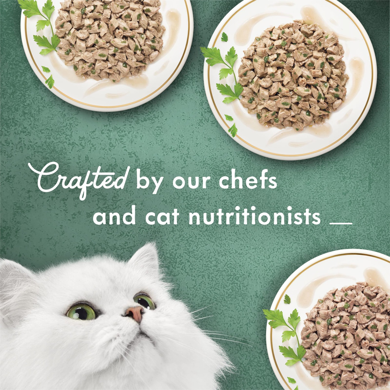 Wet Cat Food Variety Pack Appetite Stimulation Florentine- Chicken, Tuna, Turkey