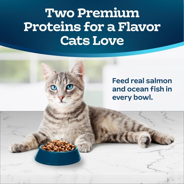 Tastefuls Multi Protein Salmon and Fish Flavor Dry Cat Food – 5lb