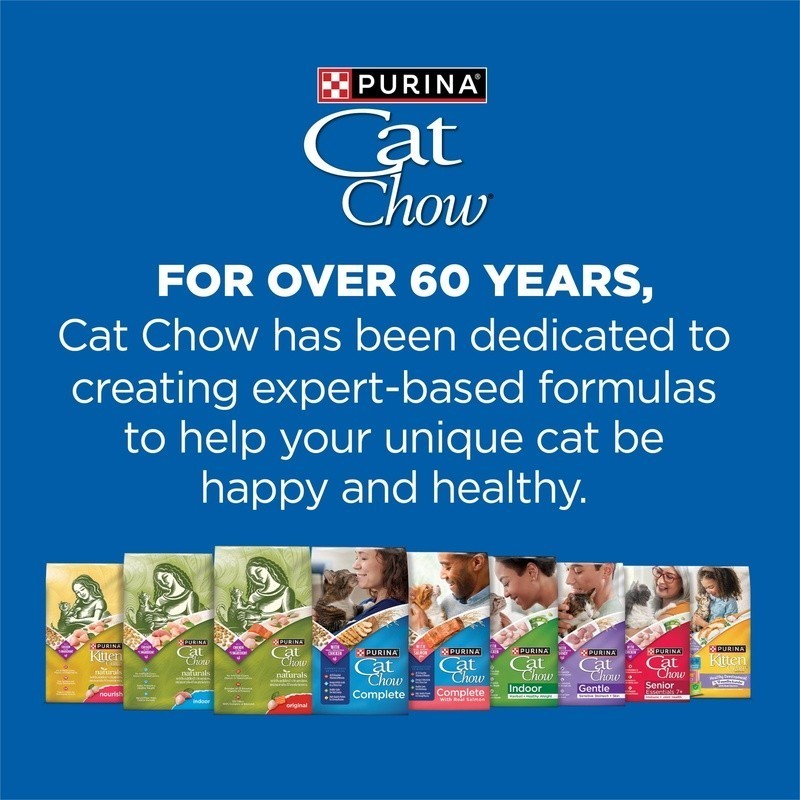 High Protein Dry Cat Food W/ Real Salmon Essential Nutrients All Life Stages New