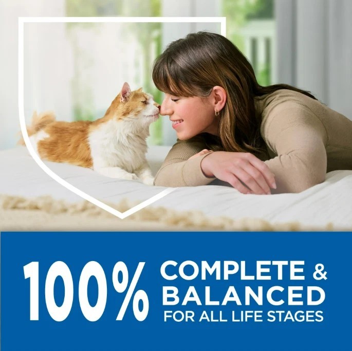 (2 pack) Purina Cat Chow Complete High Protein Dry Cat Food, Real Chicken, 20 lb