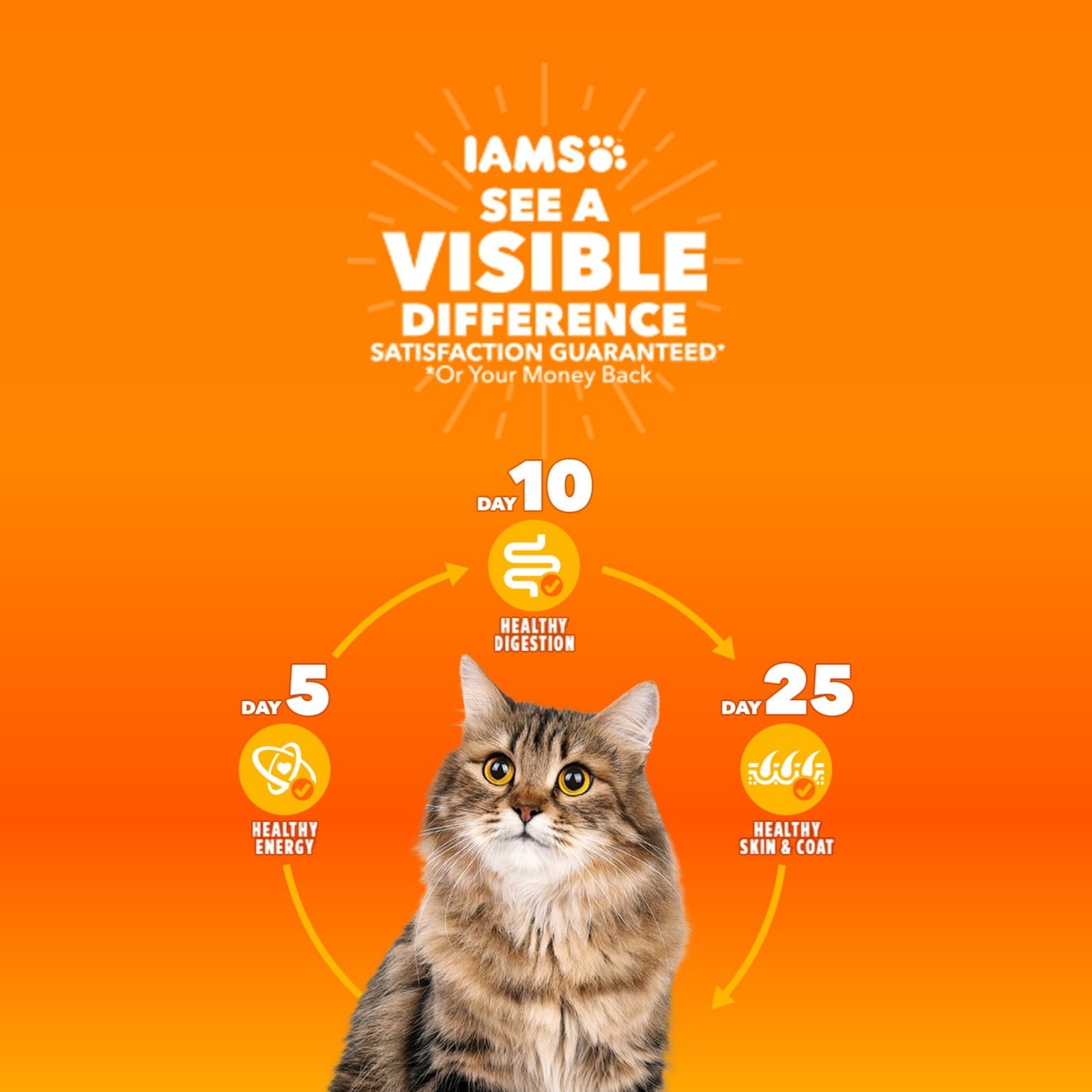 Iams Proactive Health Chicken Flavor Dry Cat Food, 22 Lb Bag…(a3w)