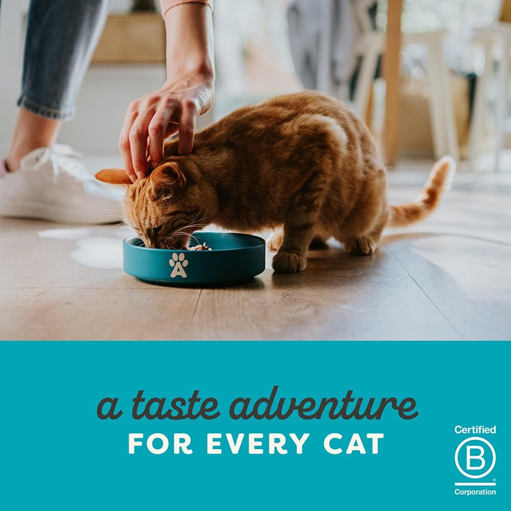 Natural Wet Kitten Food, Limited and Natural Ingredients, High Protein with No A