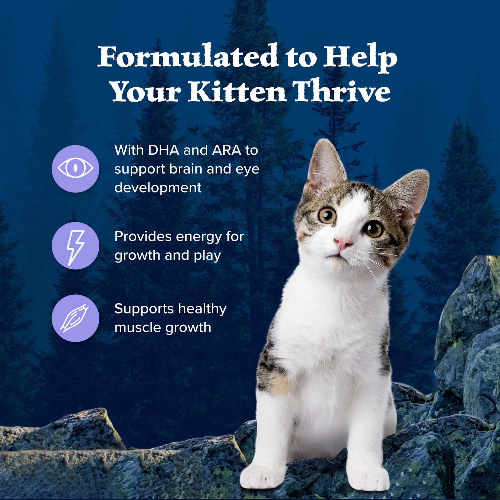 Blue Buffalo Wilderness Natural Kitten Dry Cat Food, with DHA and ARA to Supp…