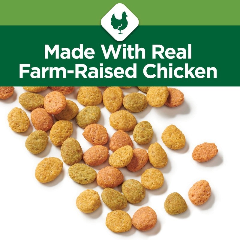 Indoor Hairball Control Healthy Weight Chicken Dry Cat Food Kibble New