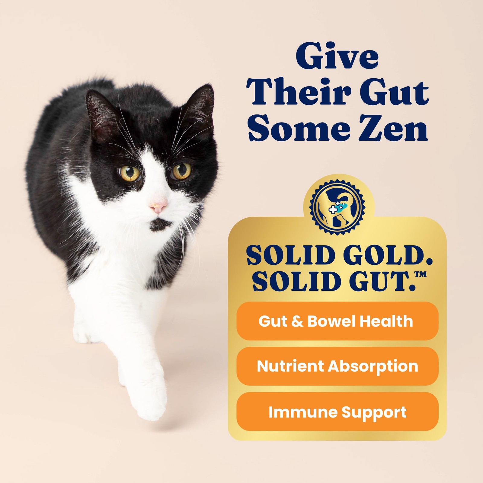 Solid Gold Indoor Dry Cat Food – Let’s Stay In Cat Food Dry Kibble for Indoor Ca
