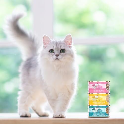 Weruva Kitchen Cuties Variety Pack Grain Free Cat Food 3.2oz Pack of 12 Cans