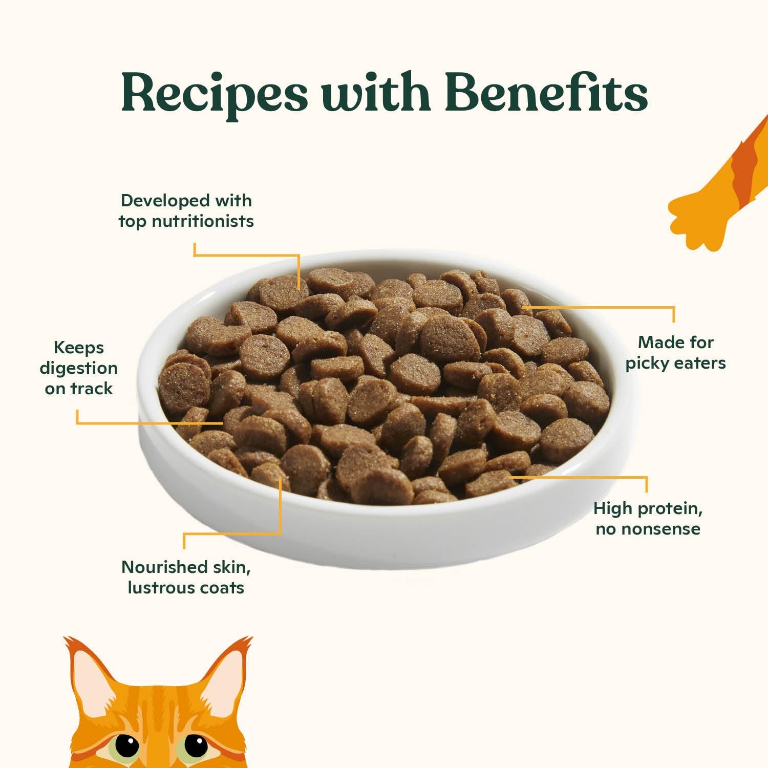 Dry Cat Kibble 4lb Bag, High Protein and Grain-Friendly Premium Cat Food, Cag…