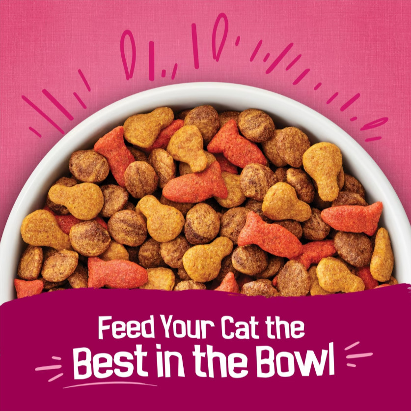 (2 pack)Friskies Gravy Swirlers Chicken & Salmon Flavor Dry Cat Food, 22-lb bag