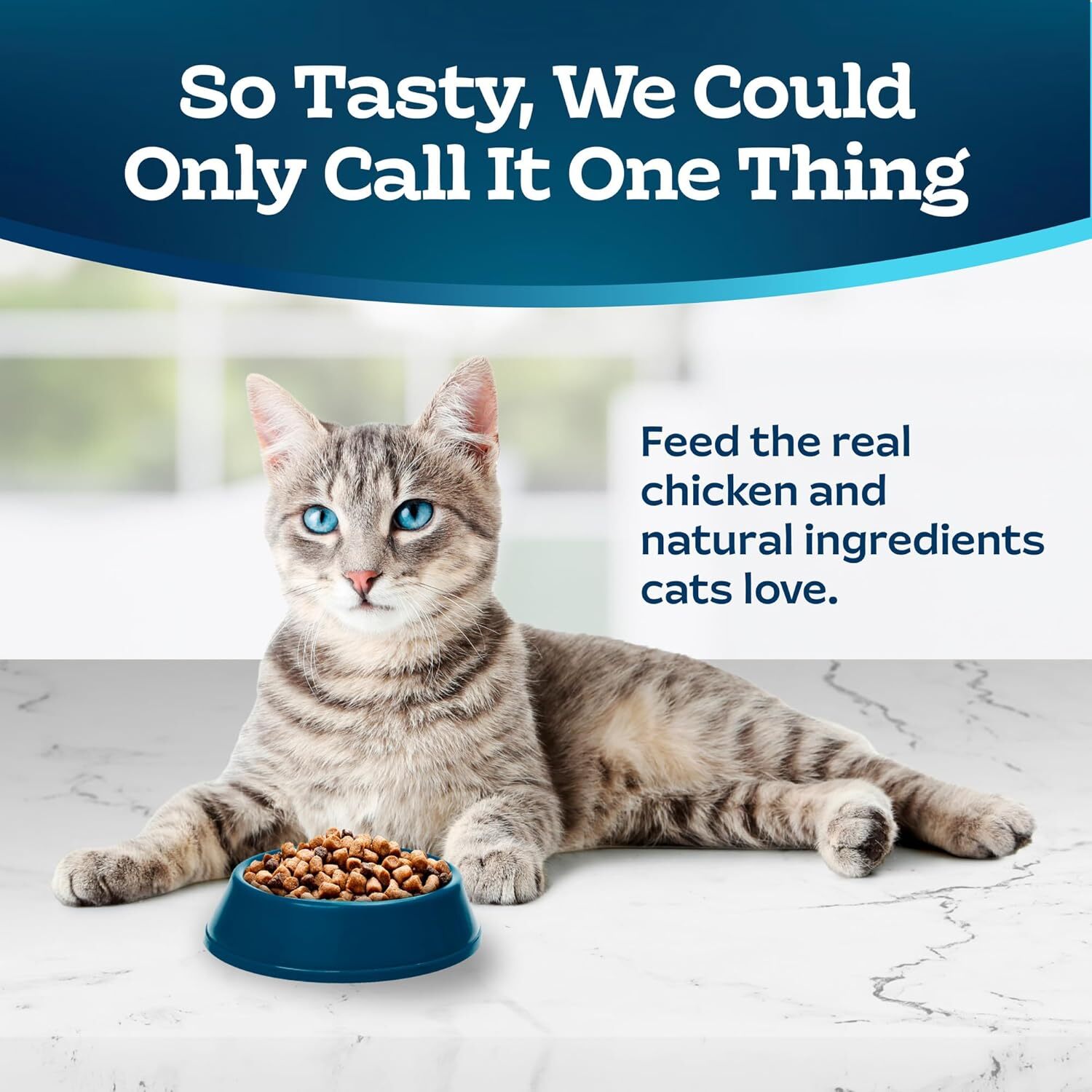 Blue Buffalo Tastefuls Natural Dry Food for Adult Cats, Sensitive Stomach,15-lb