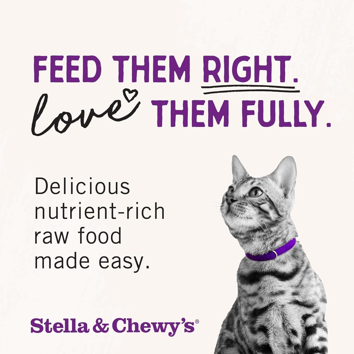 Freeze-Dried Cat Food Morsels Salmon & Chicken 1 oz with Probiotics & Omega-3