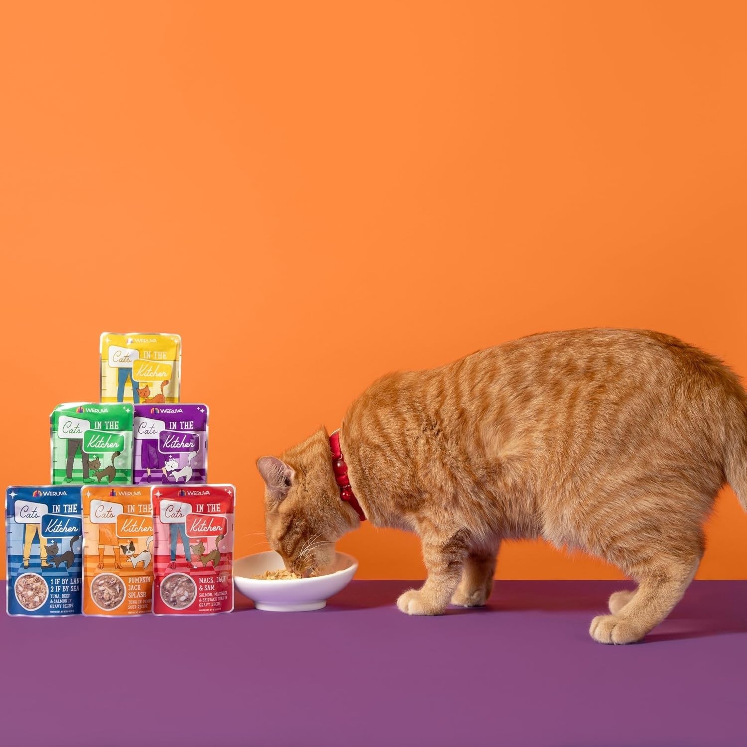 All-Natural 12-Pack Cat Food Variety – Urinary Health & Delicious Flavors