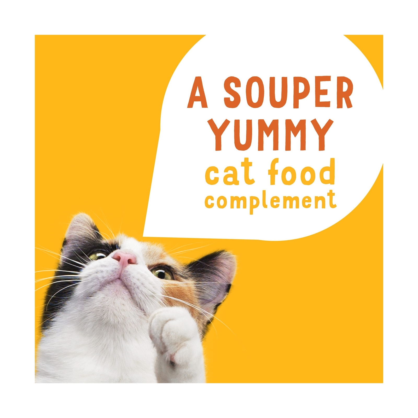 Friskies Purina Wet Cat Food Complement Lil’ Soups NEW! Variety Pack 30 ct