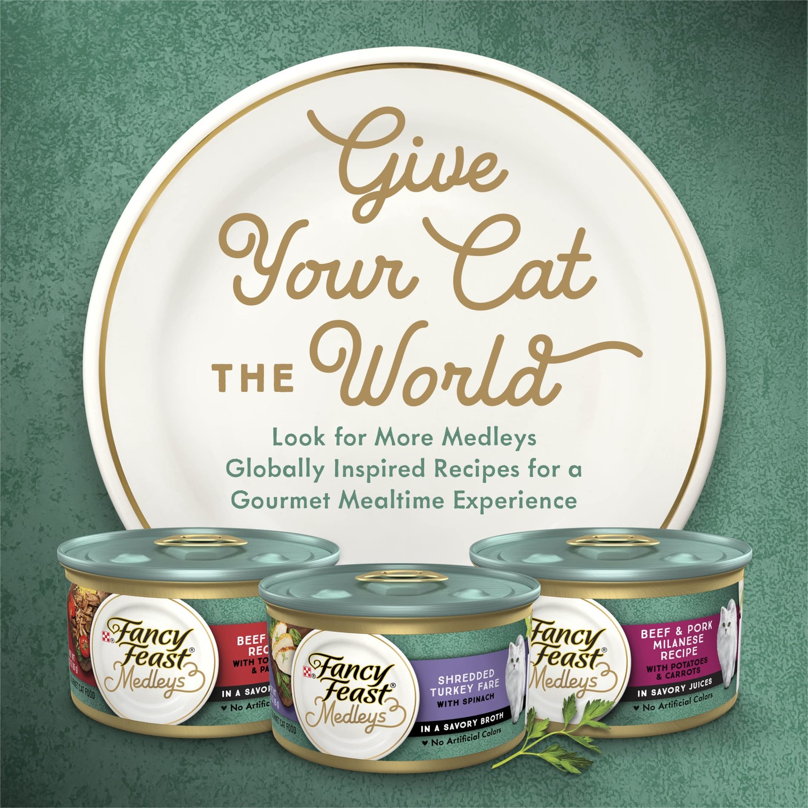 Wet Cat Food Variety Pack Appetite Stimulation Florentine- Chicken, Tuna, Turkey