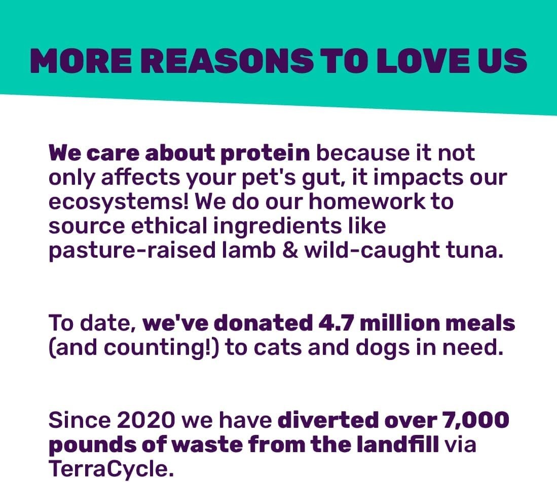 11lb Bag Dry Cat Food Salmon Trout Grain Free Real Meat No Fillers Prebiotics