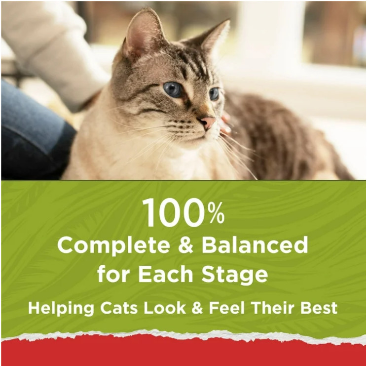(2 pack) Purina Cat Chow Naturals, Dry Cat Food, Chicken & Salmon, 18 lb Bag
