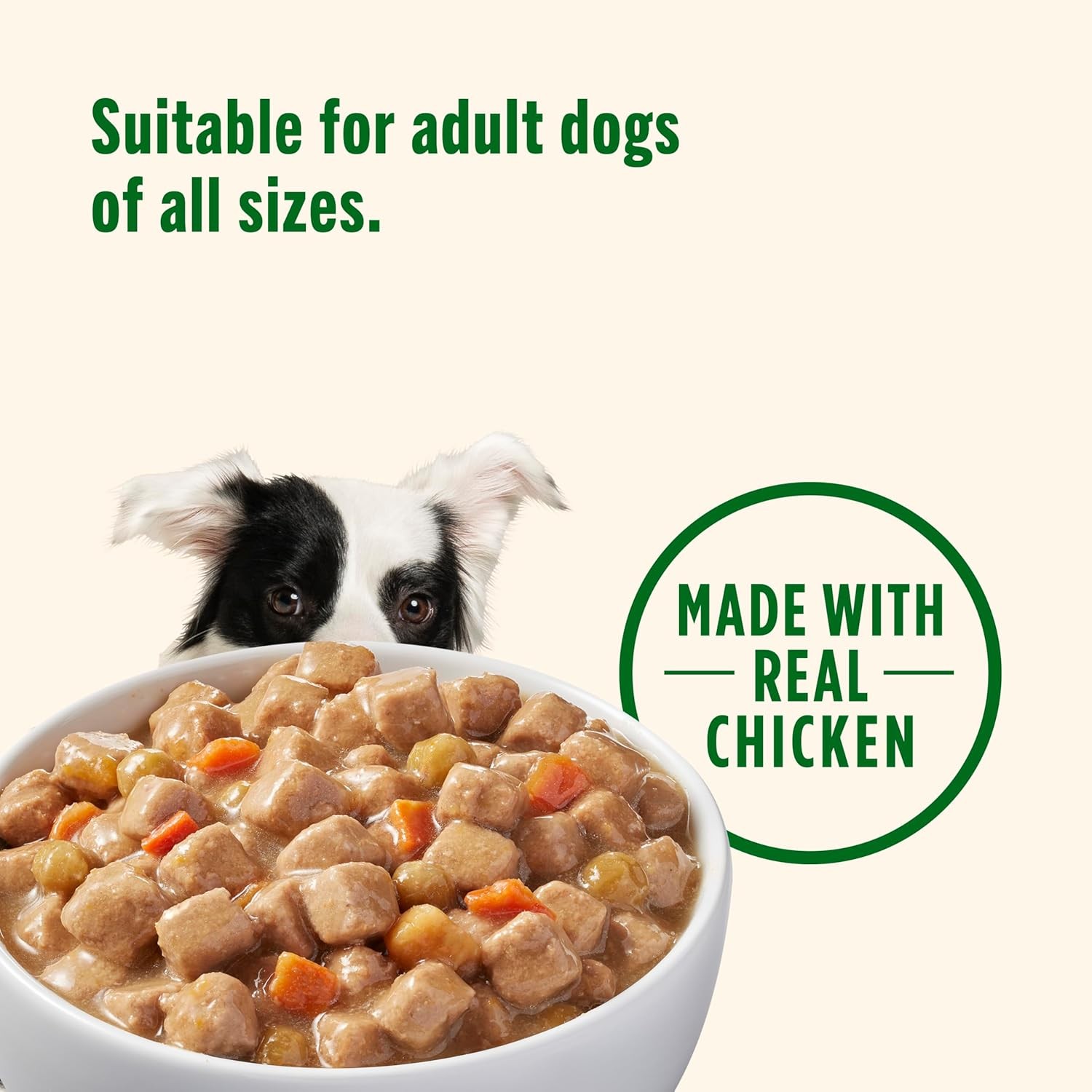 Nutrish Rachael Ray Wet Dog Food Chunks in Gravy Real Chicken & Veggies Recipe,