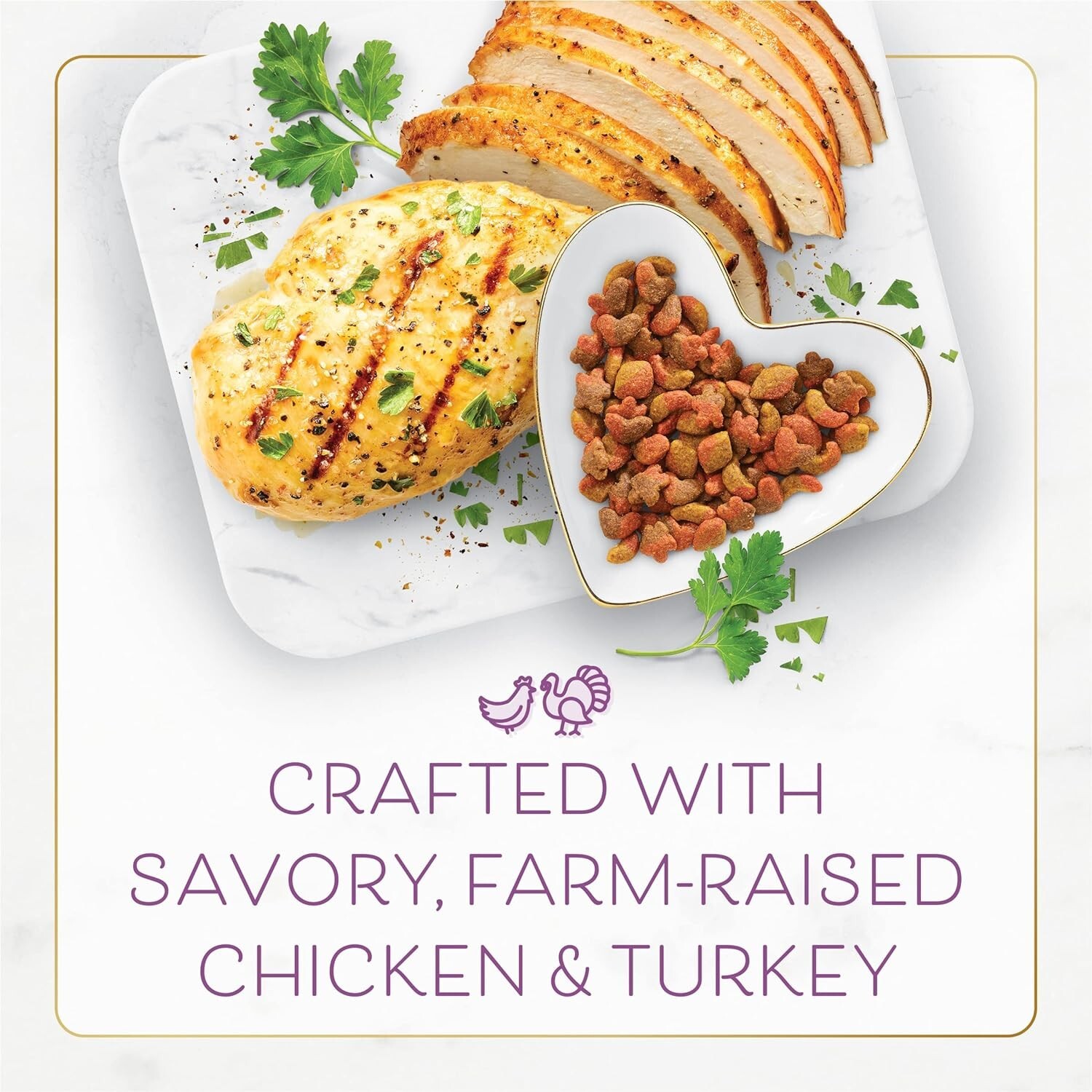 Purina Gourmet Dry Cat Food – Savory Chicken & Turkey, 12 lb for Adult Cats