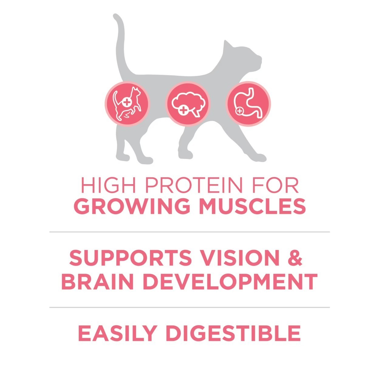 Purina ONE Plus, Healthy Kitten Formula, Dry Kitten Food, Chicken, 16 lb Bag