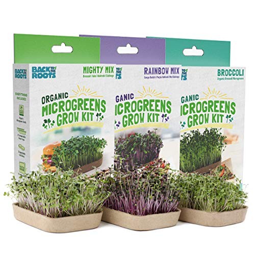50041 DIY 6-Grow Variety Pack Organic Microgreens Kit, Indoor Gardening