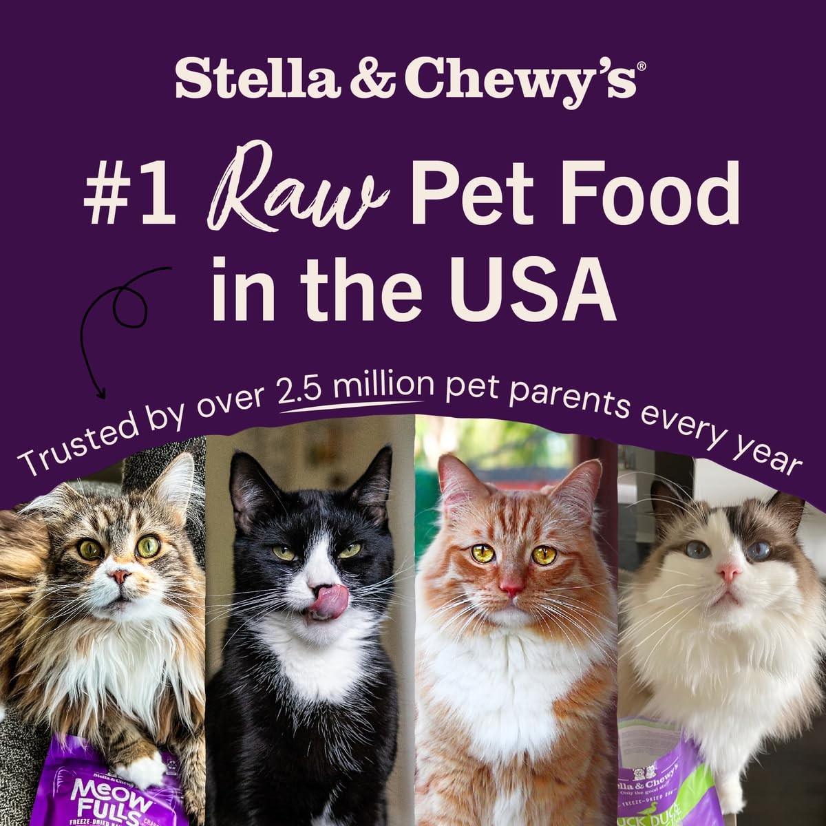 Stella & Chewy’s Freeze-Dried Raw Cat Dinner 1.13 Pound (Pack of 1), Chicken